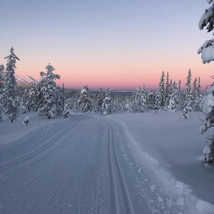 In The Middle Of Trysil Fjellet - Welcome Center - Apartment With 4 Bedrooms And Sauna - By Bike Arena And Ski Lift Экстерьер фото